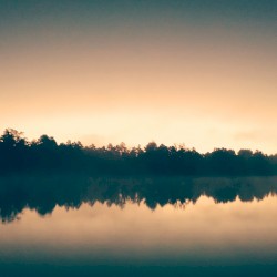In Light