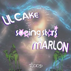 Seeing Stars