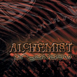 Organasm