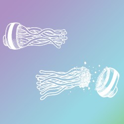 In Stereo