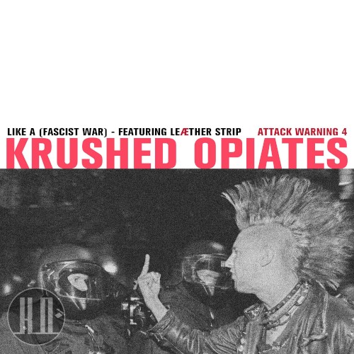 (Like) A Fascist War