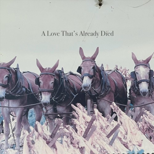 A Love That’s Already Died