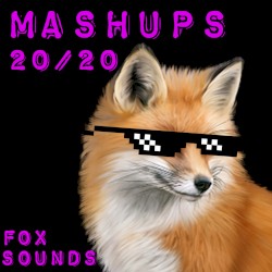 MASHUPS 20/20