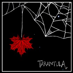 Tarantula