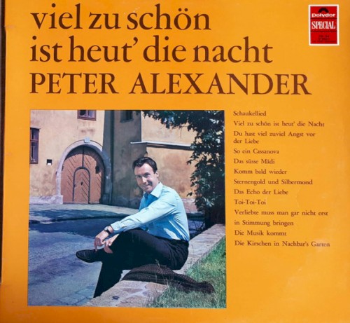 Viel zu schön ist heut' die Nacht