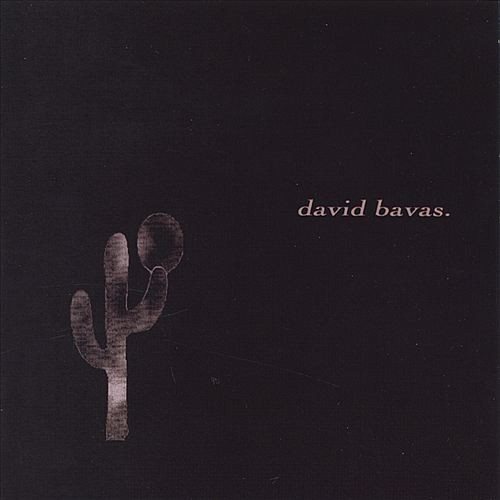 David Bavas and the Down Comforter