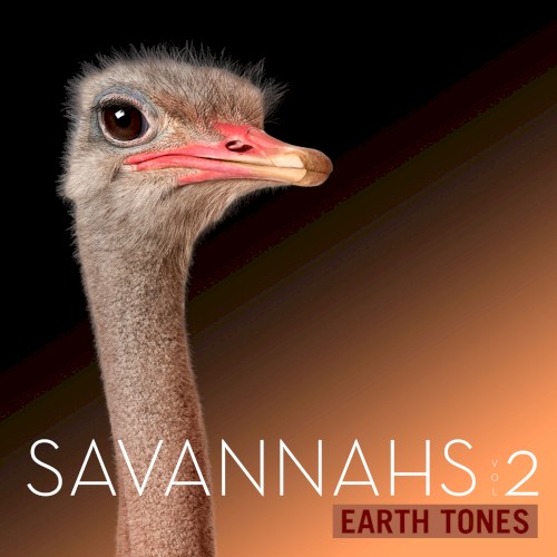 Savannahs Vol 2
