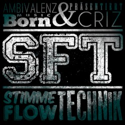 SFT - Stimme, Flow, Technik