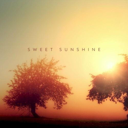 Sweet Sunshine