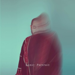 Sonic-Portrait
