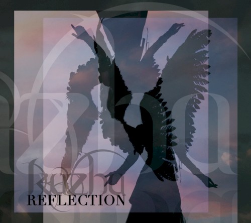 Reflection