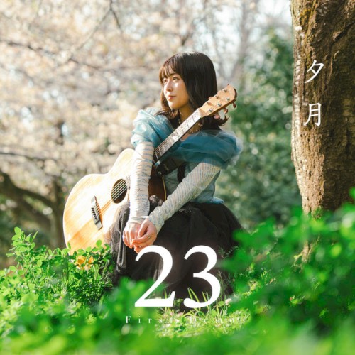 23