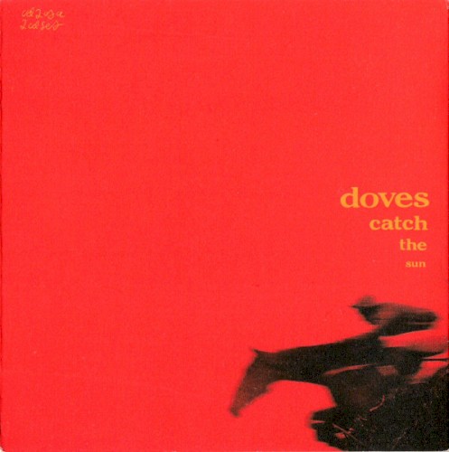 Catch the Sun