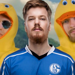 Year of the Duck