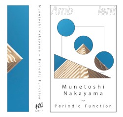 Periodic Function