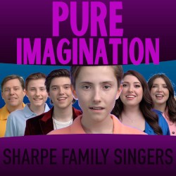 Pure Imagination