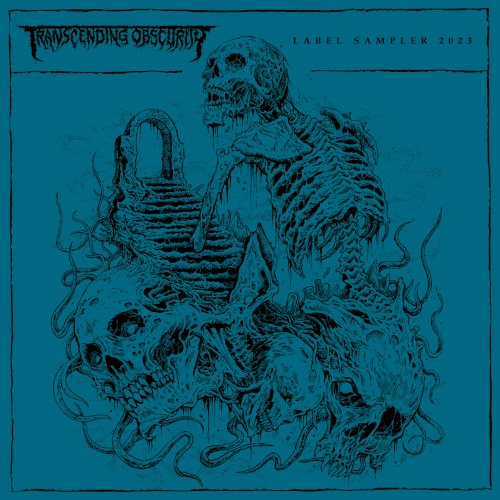 Transcending Obscurity: Label Sampler 2023