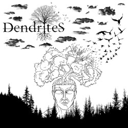 Dendrites