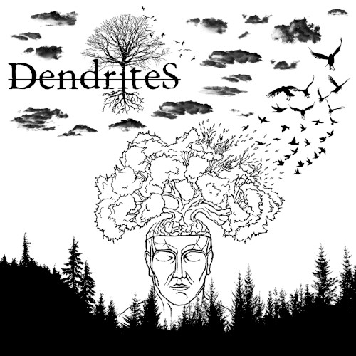 Dendrites
