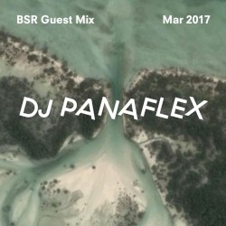 Brother Sister Guest Mix