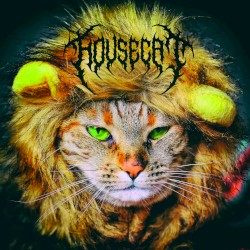 Housecat