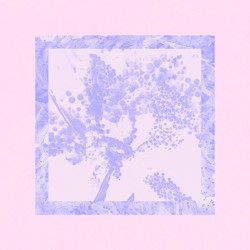 Image Version