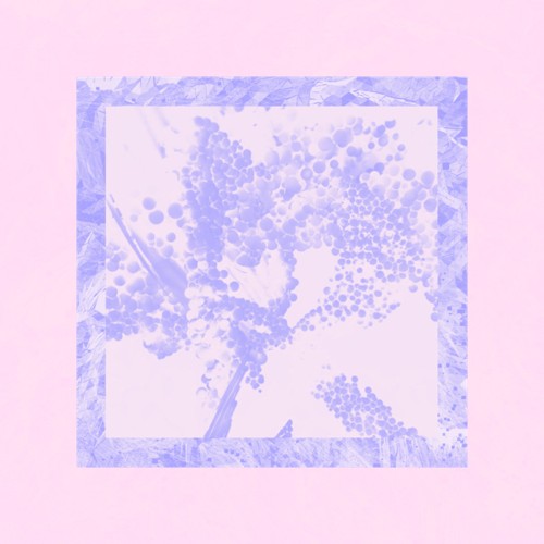 Image Version