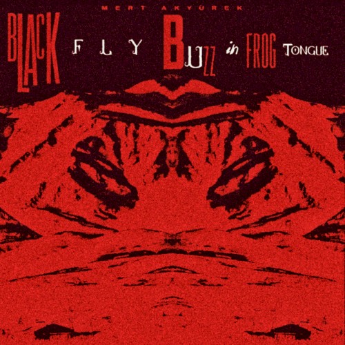 Black Fly Buzz in Frog Tongue