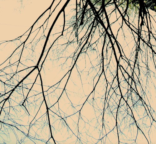 transient sleep