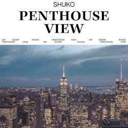 Penthouse View