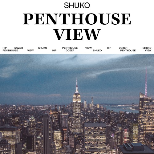 Penthouse View