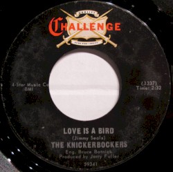 Love Is A Bird