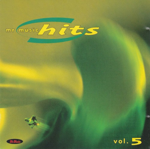 Mr Music Hits 5. 1999
