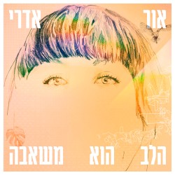 הלב הוא משאבה