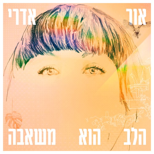 הלב הוא משאבה