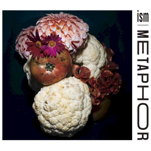 Metaphor