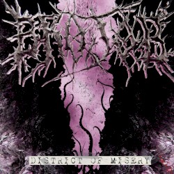DISTRICT OF MISERY