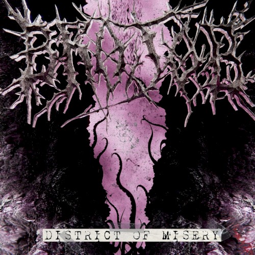 DISTRICT OF MISERY