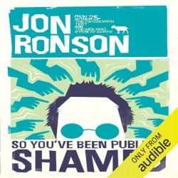 So You've Been Publicly Shamed
