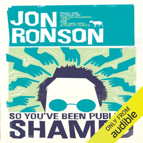 So You've Been Publicly Shamed