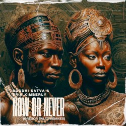 Now or Never (Gregor Salto Remixes)