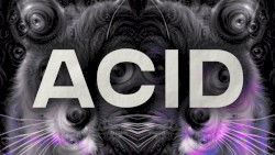 ACID EP