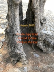 Hasselt 2010