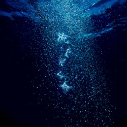 流れ行く命