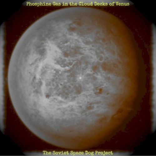Phosphine Gas in the Cloud Decks of Venus