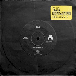 Reasonable Remixes 2