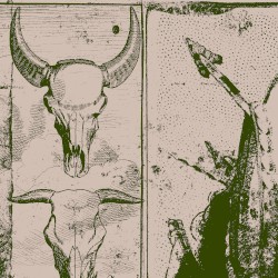 Wild Works Volume 12