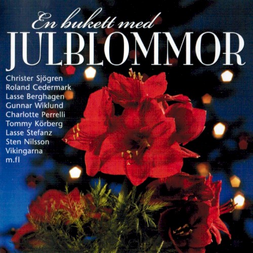 En bukett med julblommor