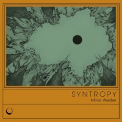 Syntropy