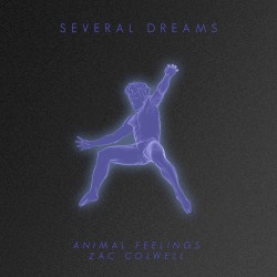 Several Dreams